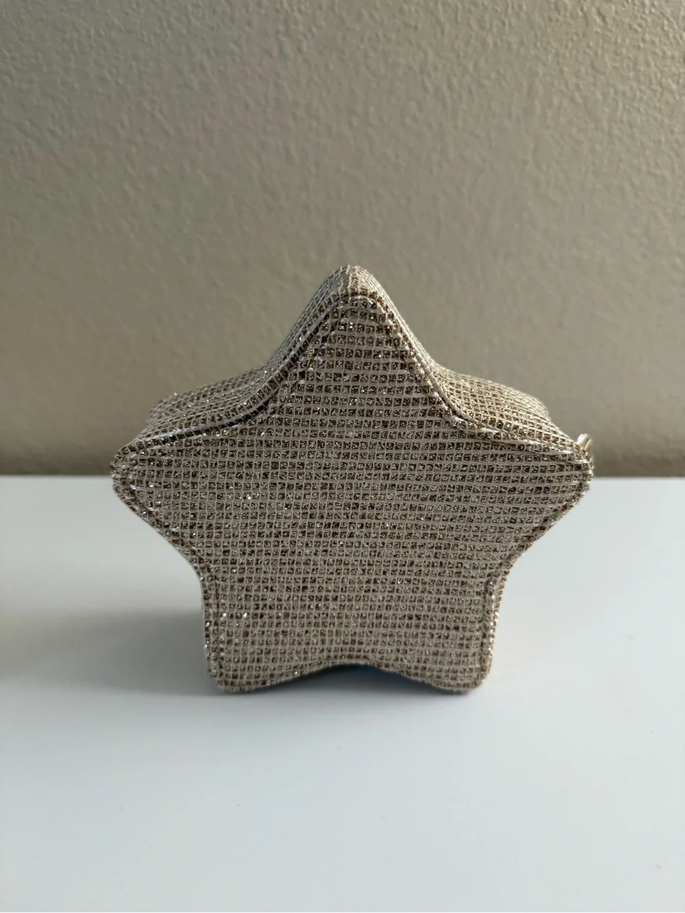 Dior Pouch